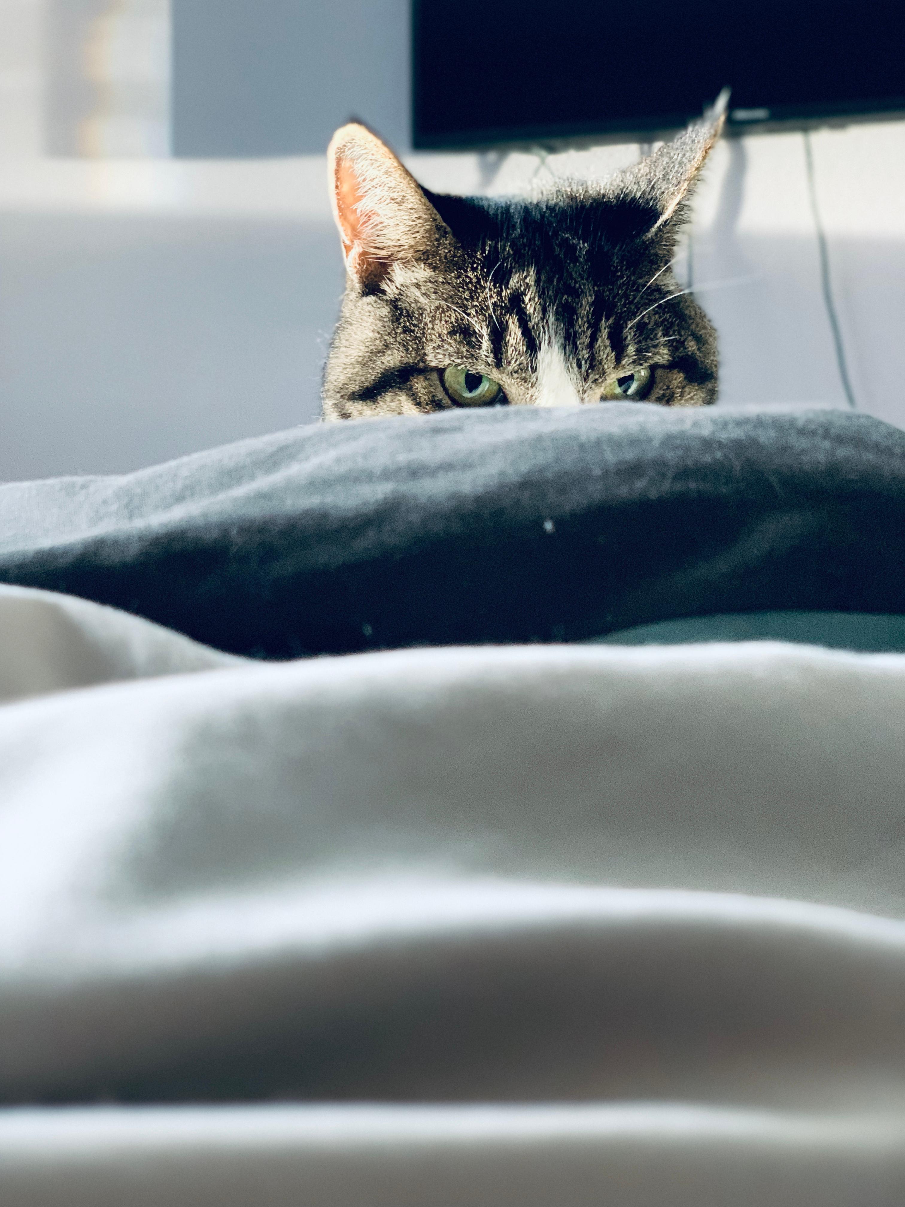Jackson murder eyes